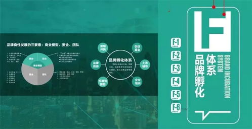 光合項目 從洋河創(chuàng)意設計中心看文化創(chuàng)意產(chǎn)業(yè)園的品牌化之路